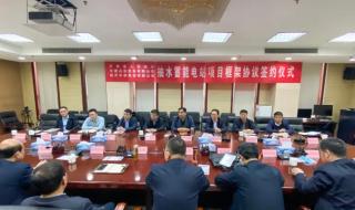 大唐山东发电有限公司