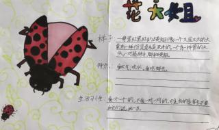 昆虫备忘录瓢虫怎么画