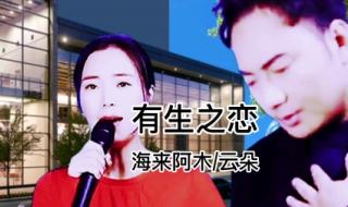 海来阿木最火的十首歌曲