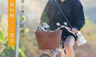 绿水青山带笑颜电视剧