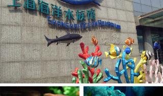 上海海洋水族馆好玩吗
