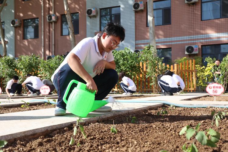 劳动教育实践(劳动教育实践基地)