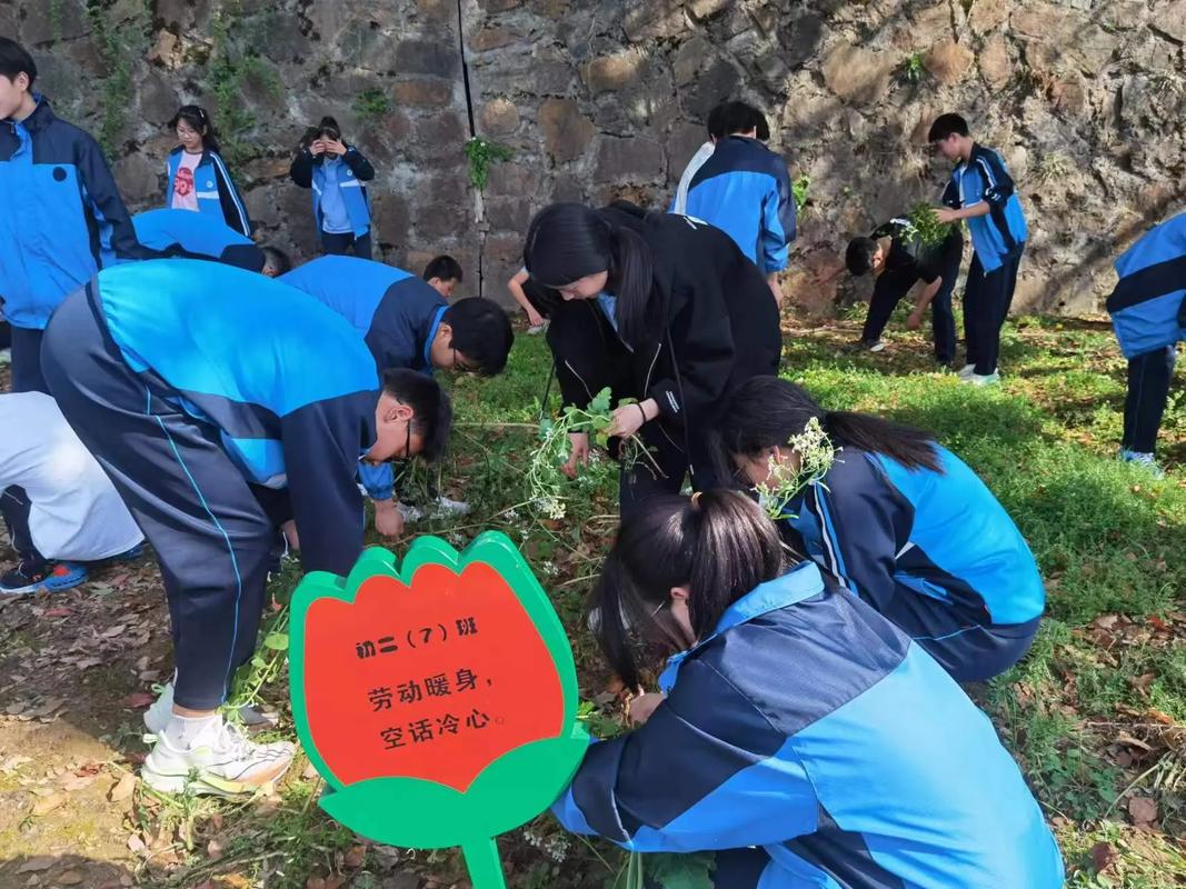 劳动教育实践(劳动教育实践基地)